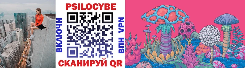 Псилоцибиновые грибы прущие грибы  Пласт 